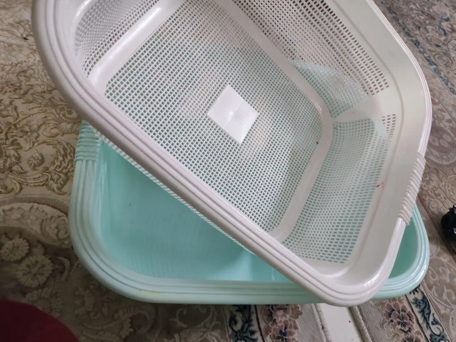 ظروف پلاستیکی لیمون|ظروف نگهدارنده، پلاستیکی، یکبارمصرف|مشهد, الهیه|دیوار