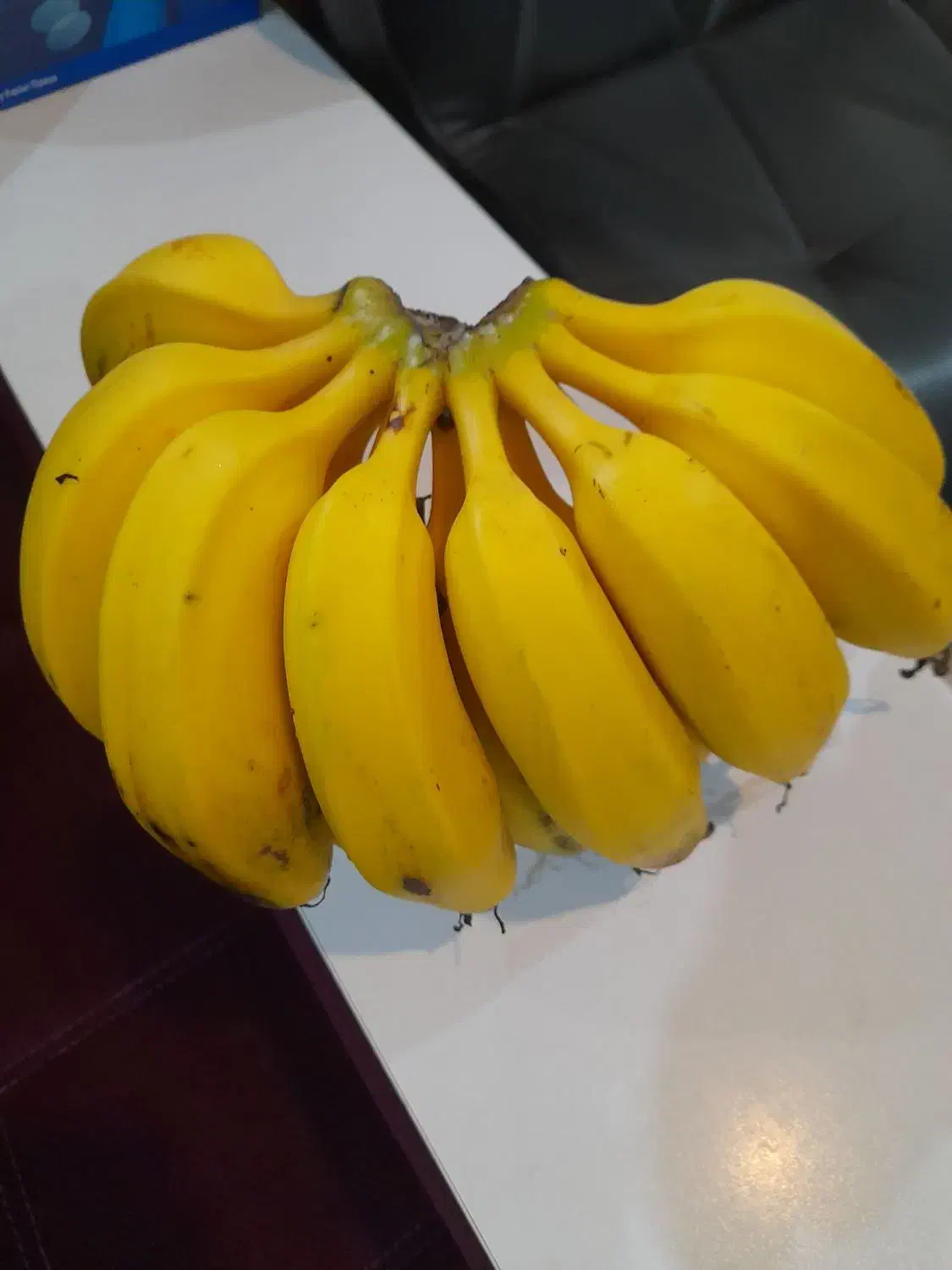 نهالموز سردسیری کاندوش پرحاصل|گل و گیاه طبیعی|اندیشه, اندیشه فاز ۴|دیوار