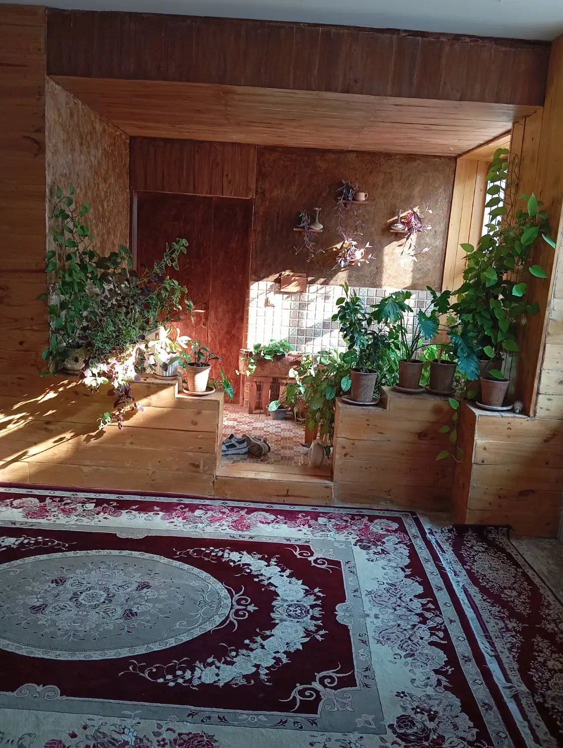 نقاشی ساختمان حرفه ای|خدمات پیشه و مهارت|شیراز, رکنآباد|دیوار