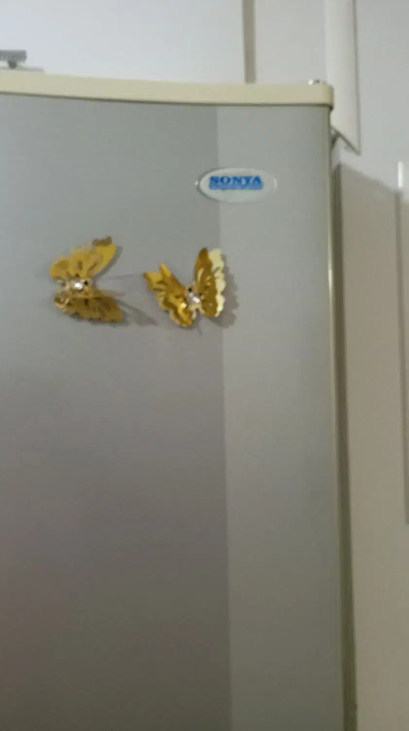 یخچال|یخچال و فریزر|چناران, |دیوار