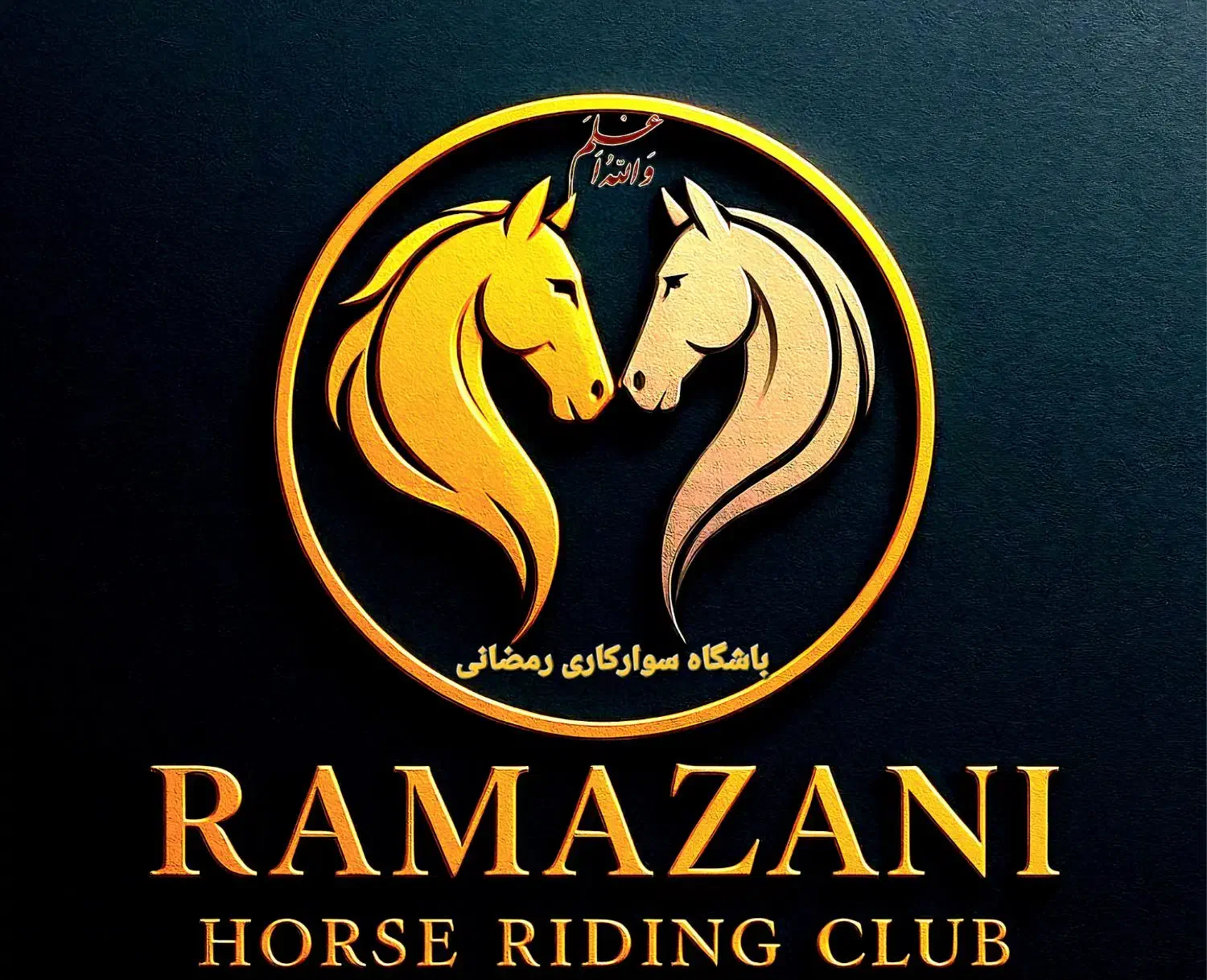 فروش یک راس مادیان کرد اصیل|اسب و تجهیزات اسبسواری|تاکستان, |دیوار