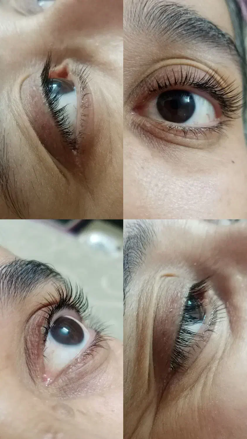 حراج ویژه شب یلدا|حراج|تایباد, |دیوار