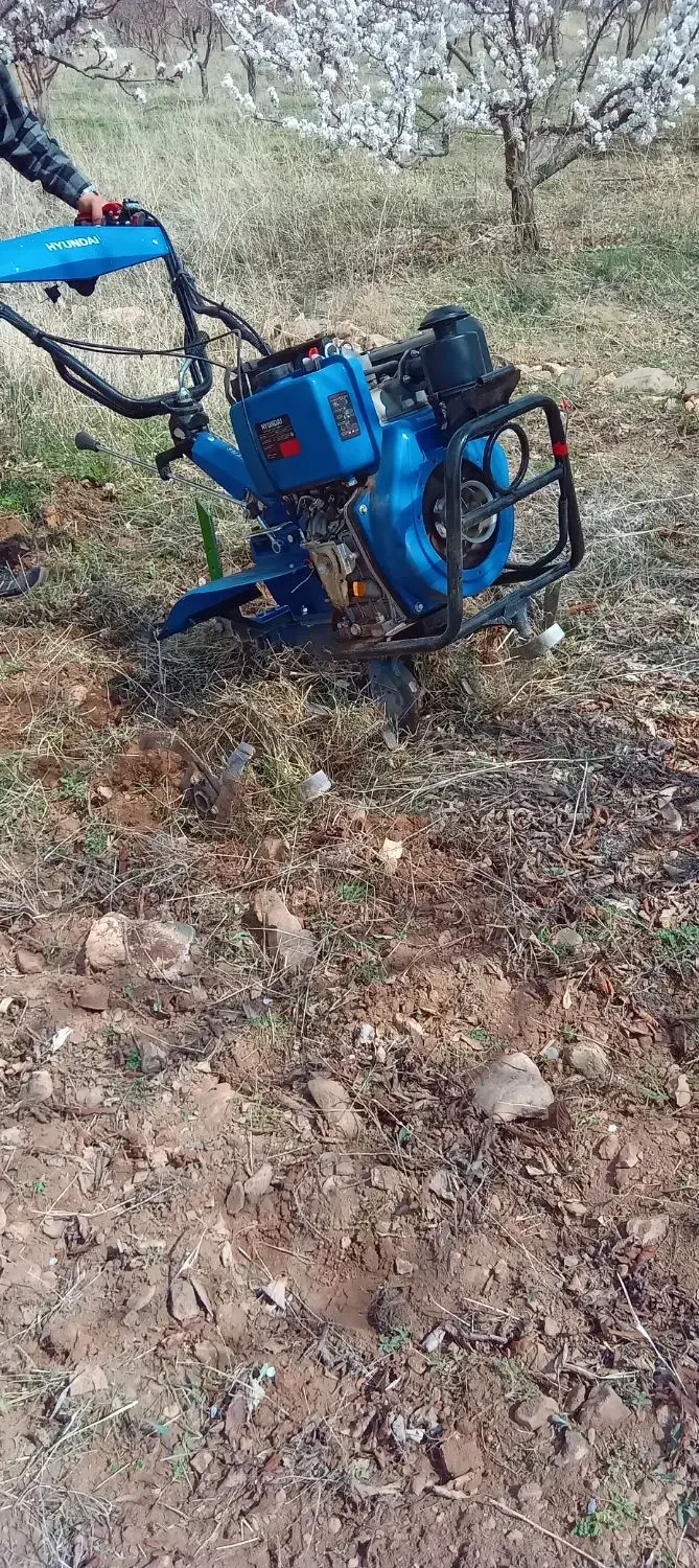 شخم زنی هرس درختان سم پاشی|خدمات باغبانی و درختکاری|زنجان, |دیوار