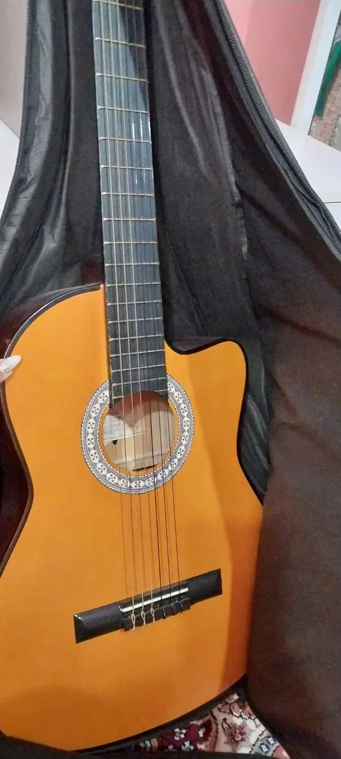 گیتار والنسیا آموزشی نو|گیتار، بیس، امپلیفایر|رشت, استقامت ۱|دیوار