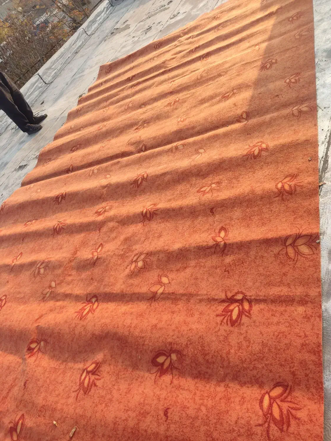 موکت در حد نو|موکت|ارومیه, |دیوار