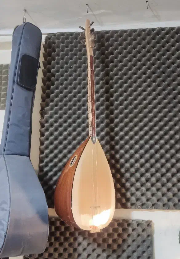 تعمیرات و رگلاژ باغلاما|سازهای سنتی|تبریز, |دیوار