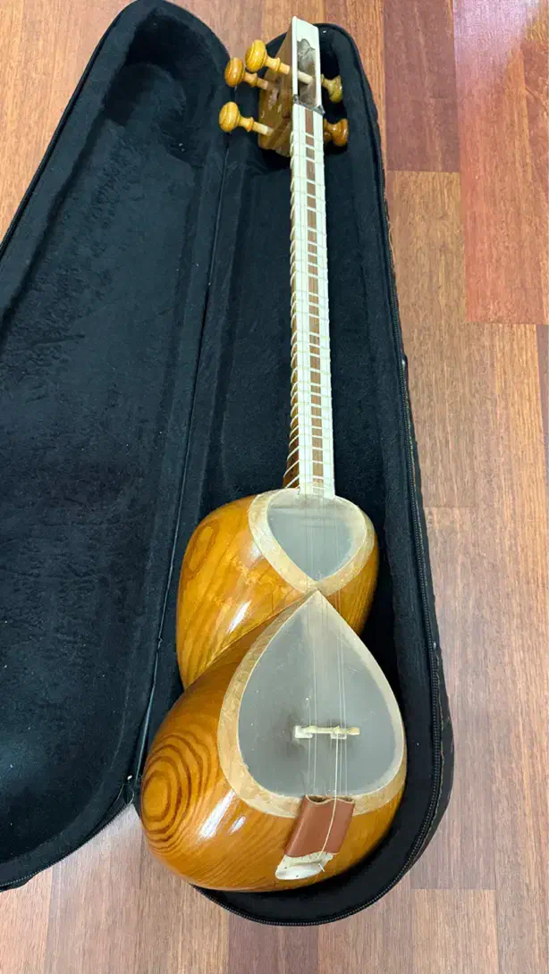 تار ایرانی حرفه ای|سازهای سنتی|ارومیه, |دیوار