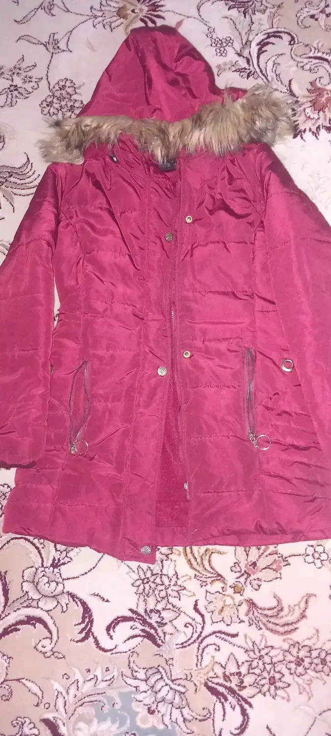 کاپشن زرشکی|لباس|تایباد, |دیوار