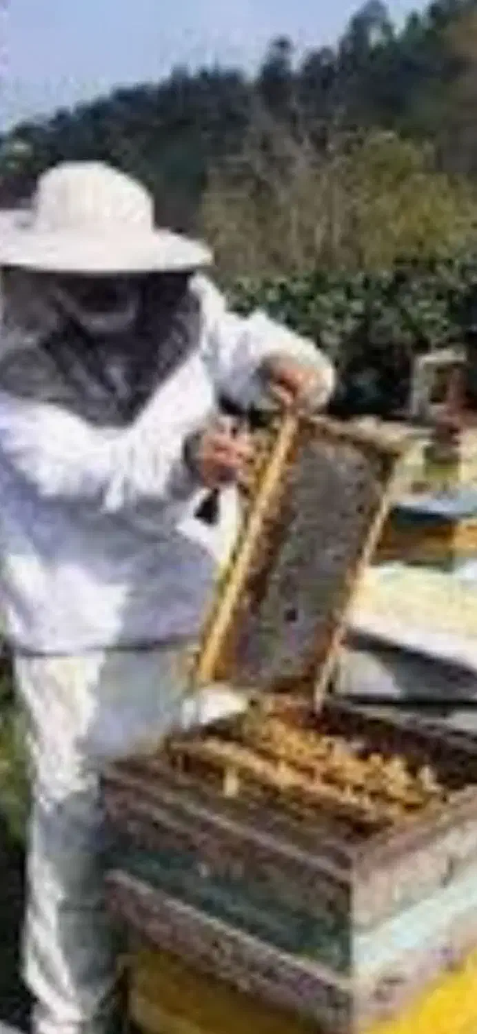 همه دعوتید|گردهمایی و همایش|تهران, فلسطین (میدان انقلاب)|دیوار