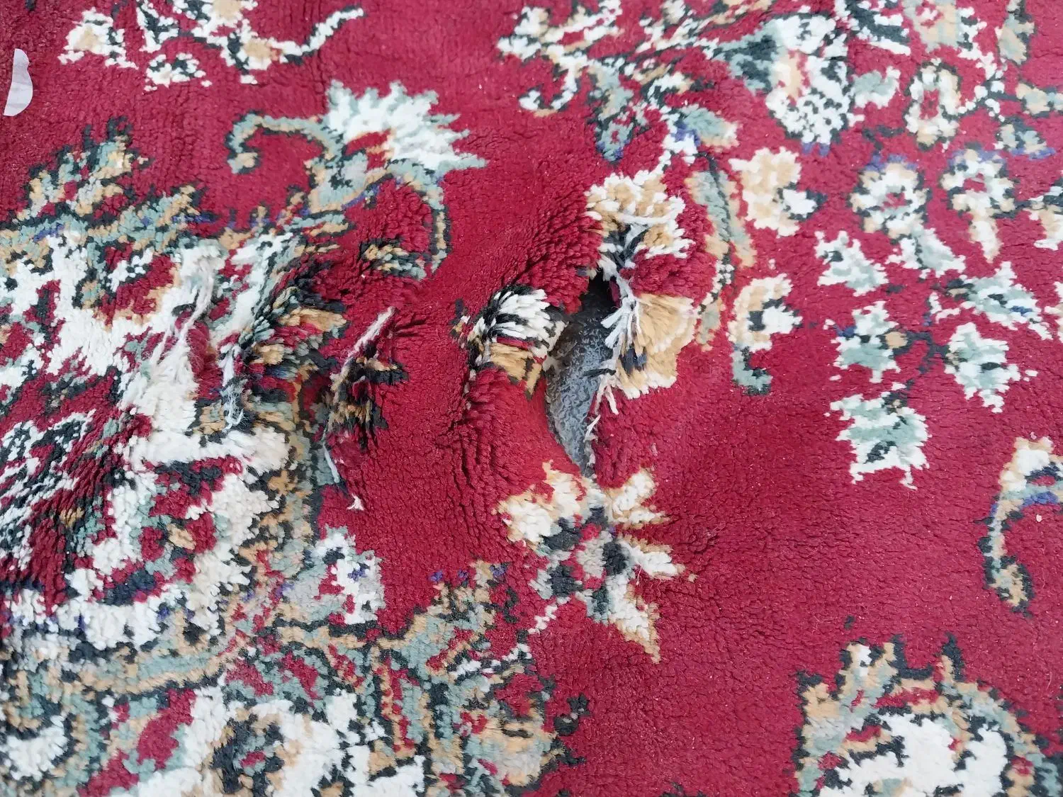 فرش ۶متری|فرش|قزوین, |دیوار