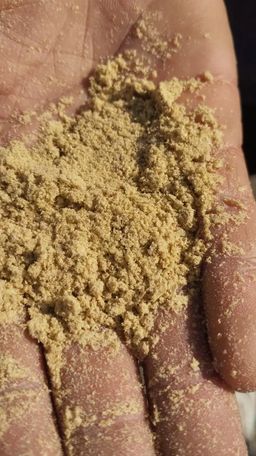 سبوس برنج یا کپک|عمده‌فروشی|میانه, |دیوار