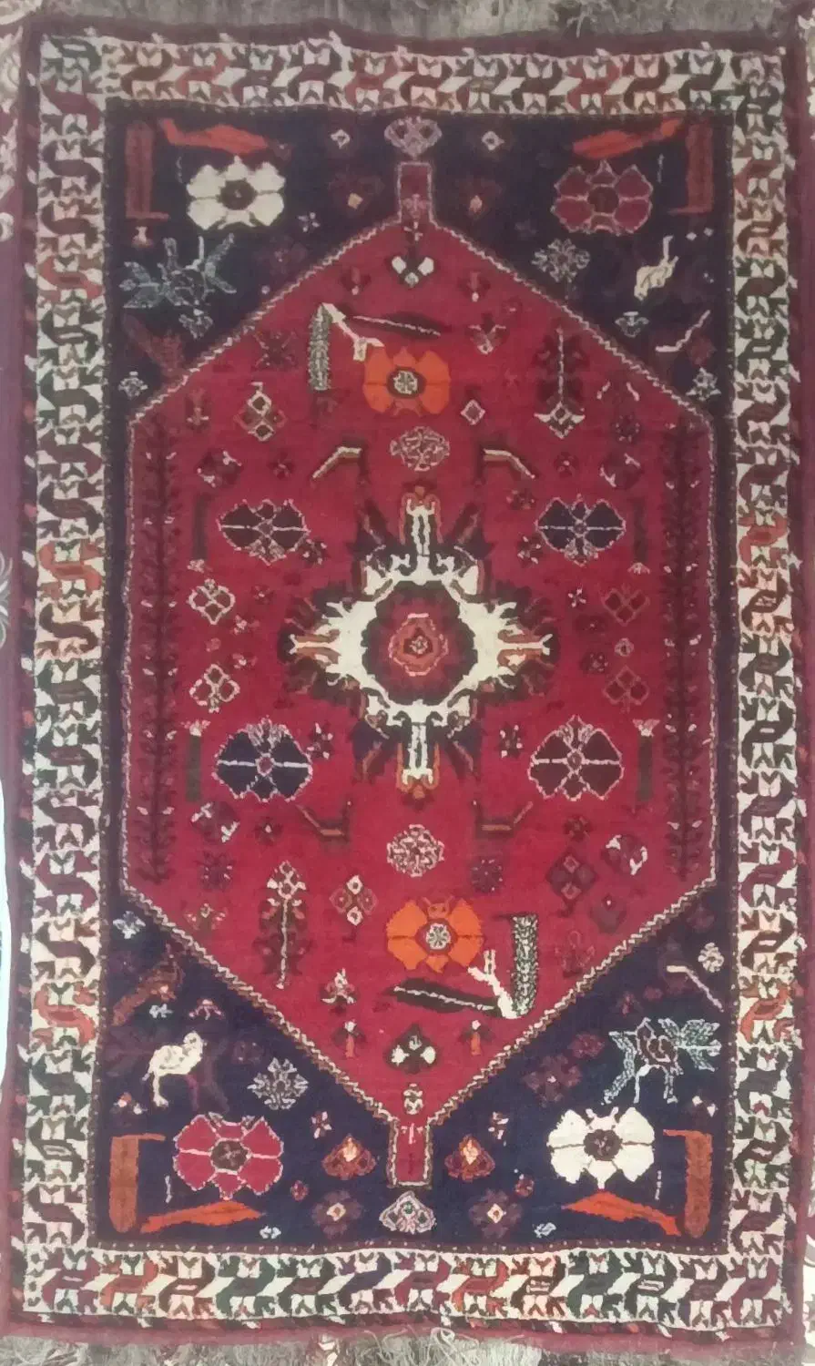 قالی پشم گوسفند|فرش|زرین دشت (فارس), |دیوار