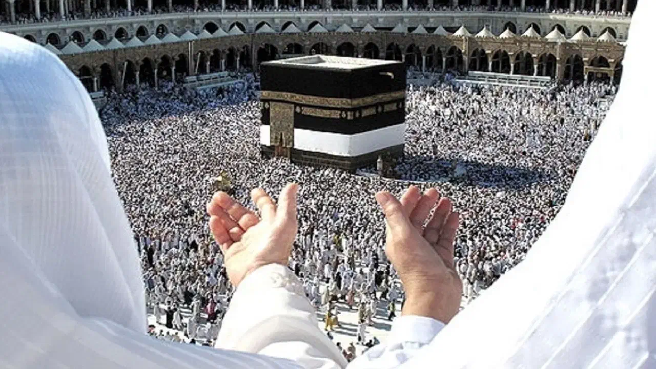 فروش فیش حج|تور و چارتر|سیرجان, |دیوار