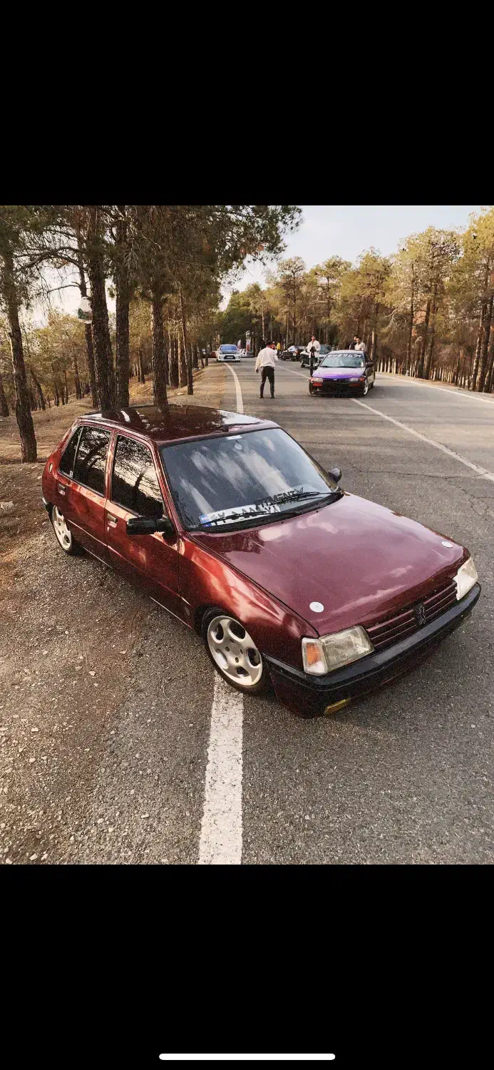 پژو ۲۰۵|خودرو سواری و وانت|تهران, آبشار تهران (دریاچه)|دیوار