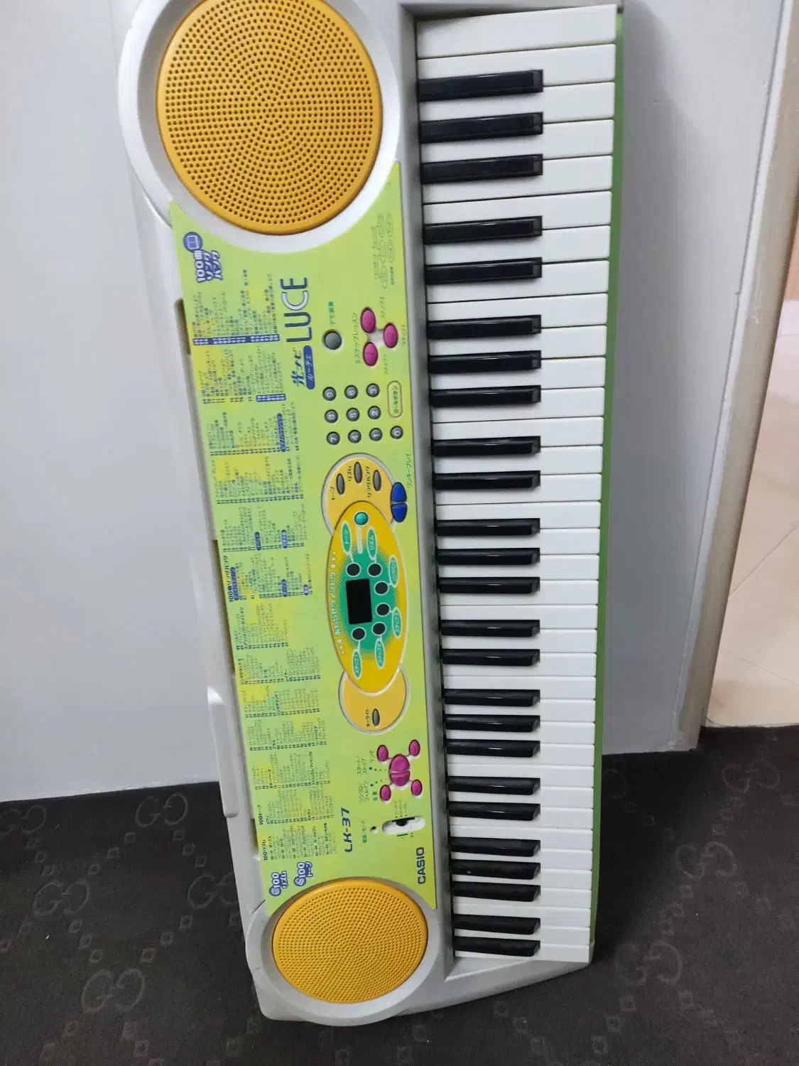 ارگ کاسیو|پیانو، کیبورد، آکاردئون|مشهد, هفت تیر (نه دره)|دیوار