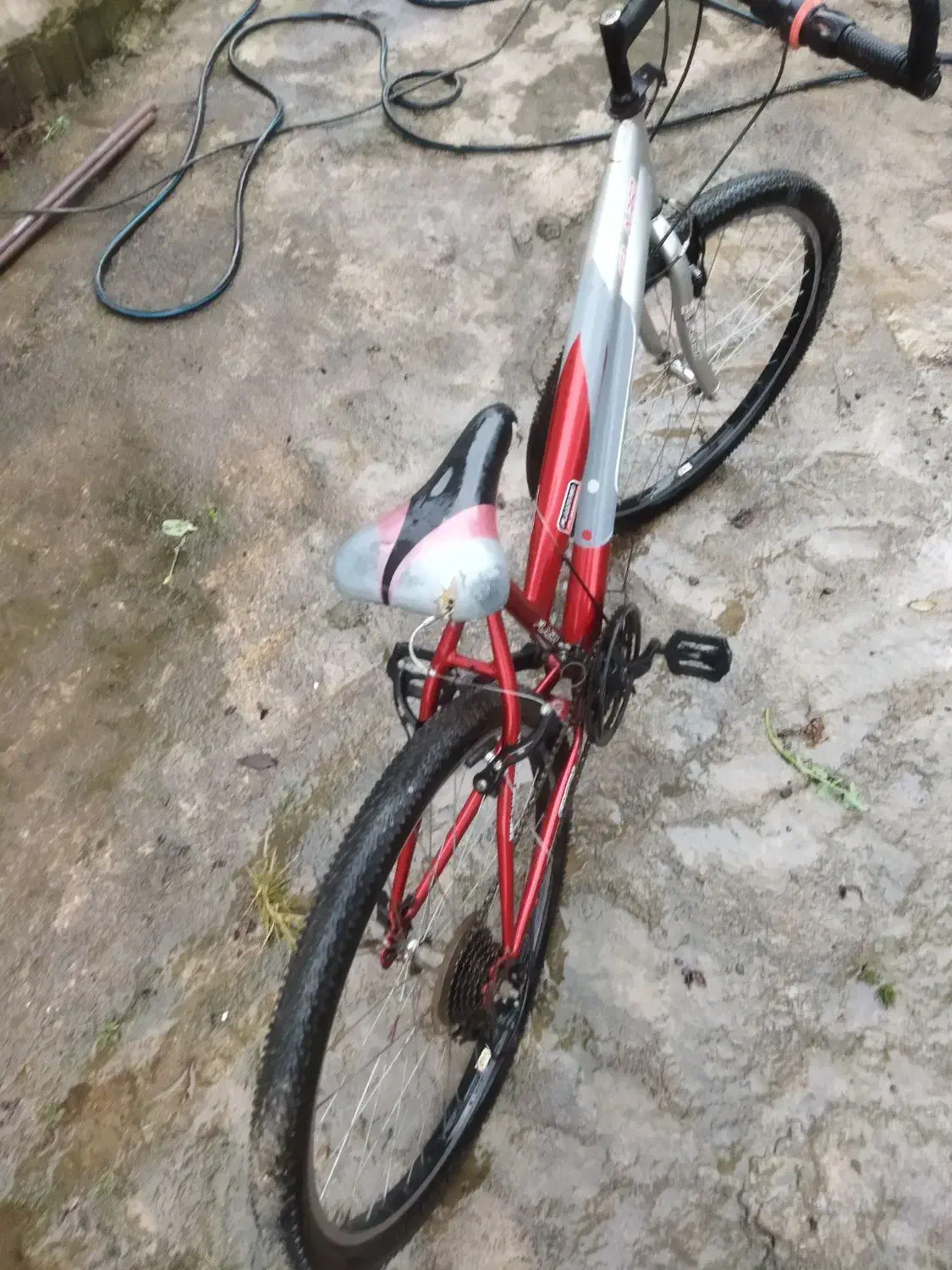 دوچرخه ۲۶|دوچرخه، اسکیت، اسکوتر|اطاقور, |دیوار