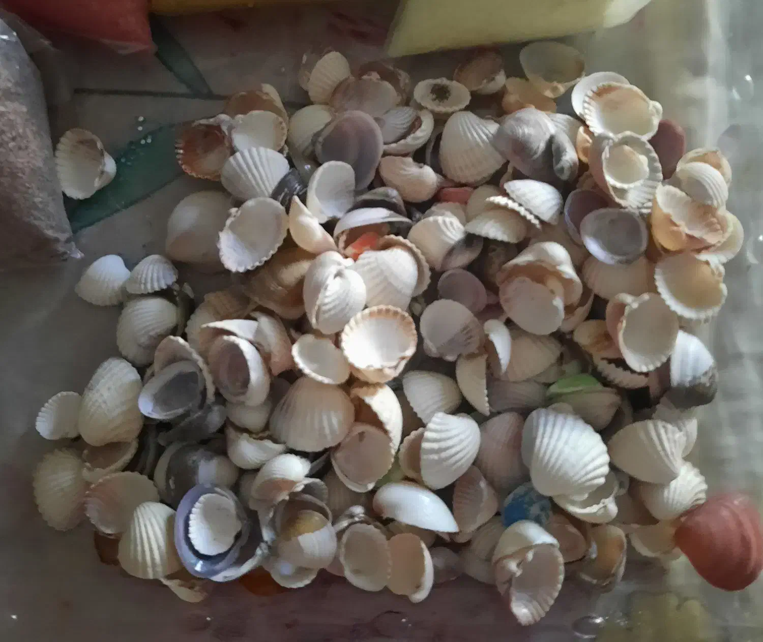 شن رنگی تزینی و صدف|صنایع دستی و سایر لوازم تزئینی|شوشتر, |دیوار