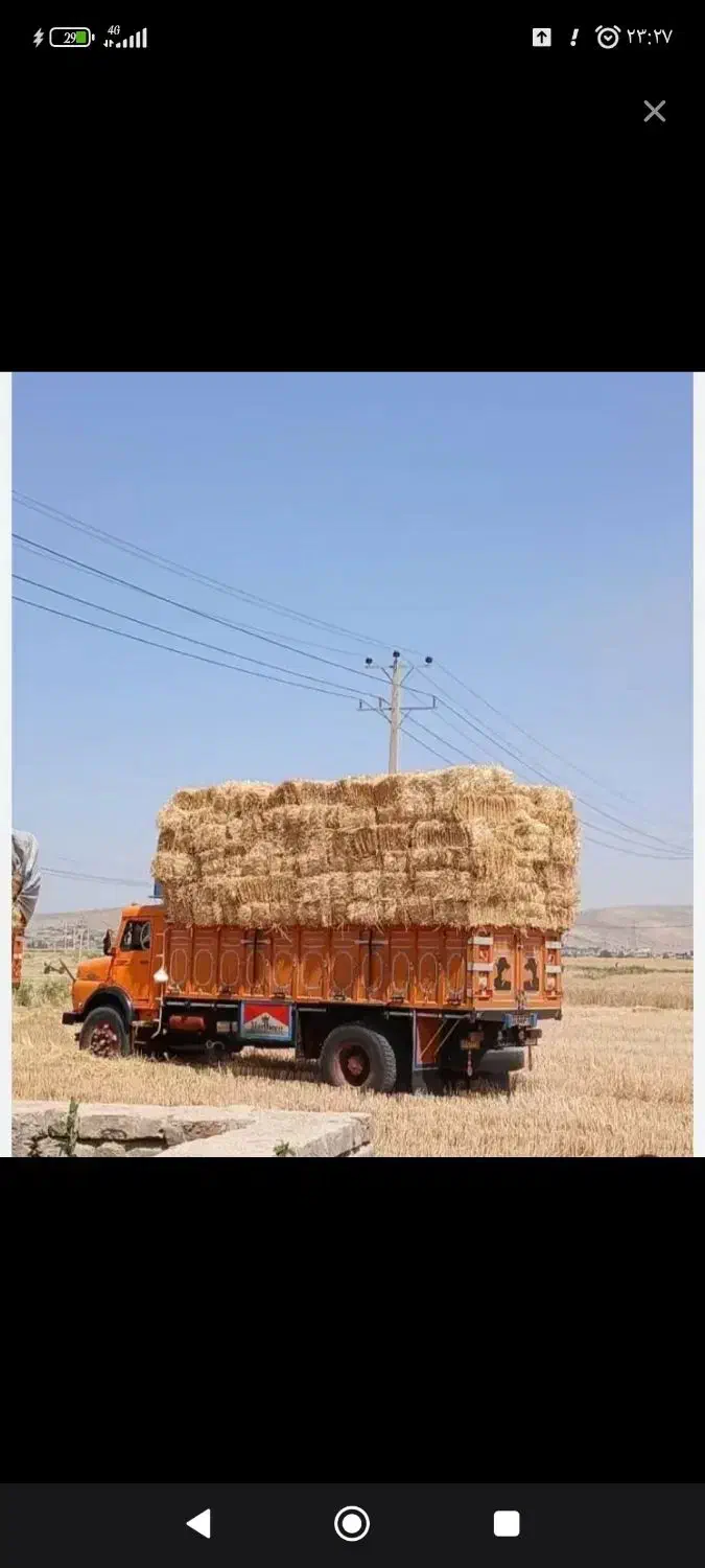 پرس کاه|حیوانات مزرعه|چناران, |دیوار