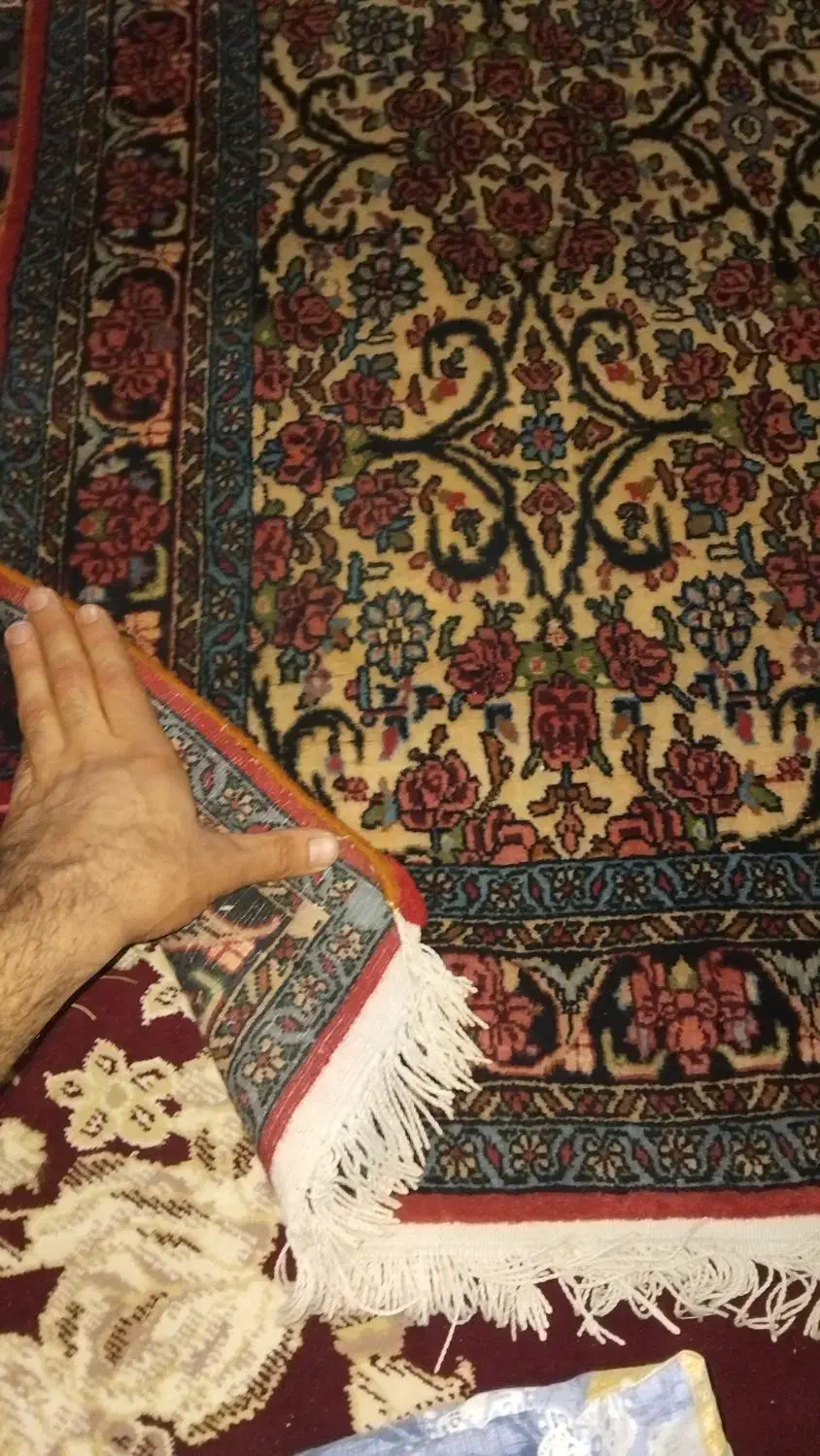 فرش دستبافت گلفرنگ|فرش|تهران, جمهوری|دیوار