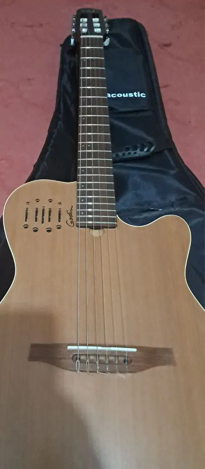 Godin گیتار الکتروکلاسیک گودین نو نو 220تومن|گیتار، بیس، امپلیفایر|شیراز, رکن‌آباد|دیوار