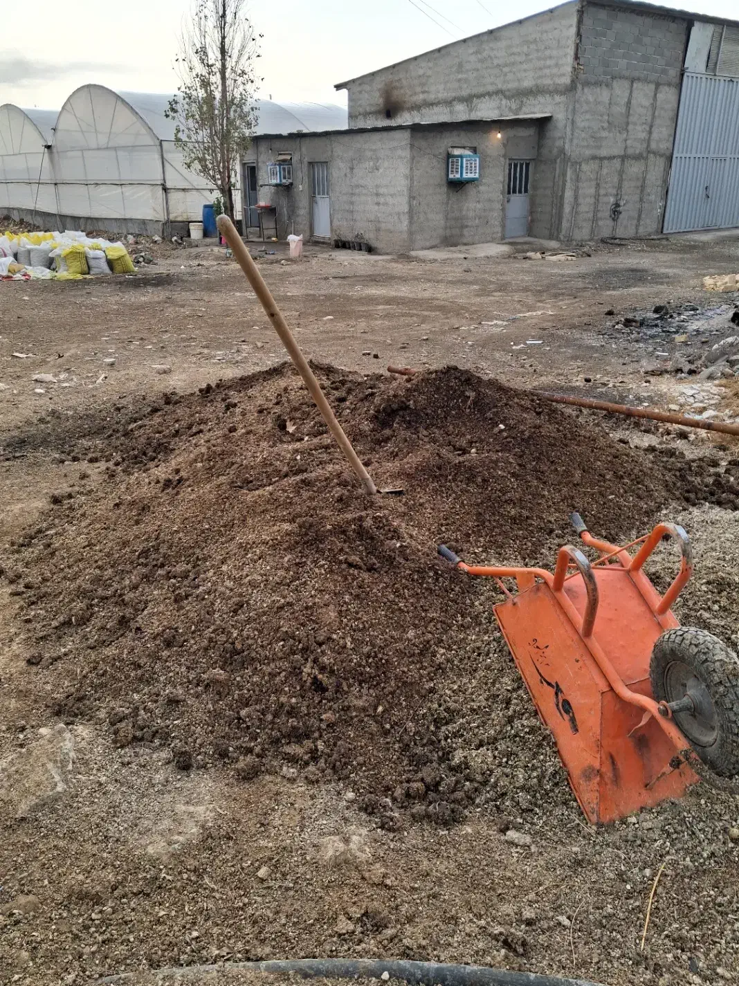 کود بلدرچین|خدمات باغبانی و درختکاری|ورامین, خورین|دیوار