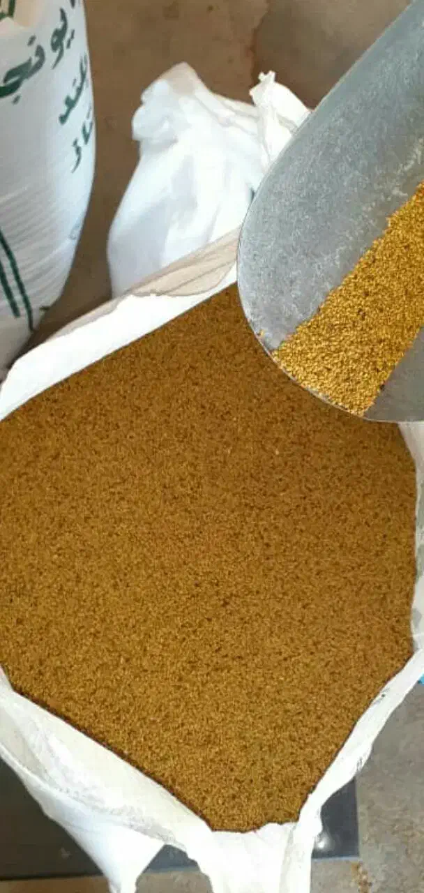 بذر خلر|گل و گیاه طبیعی|بهبهان, |دیوار