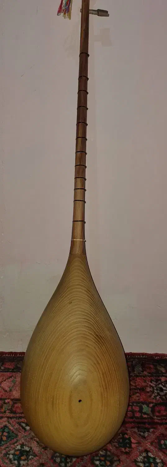 دوتار حرفه ای شمال خراسان|سازهای سنتی|مشهد, ولیعصر (شهرک غرب)|دیوار