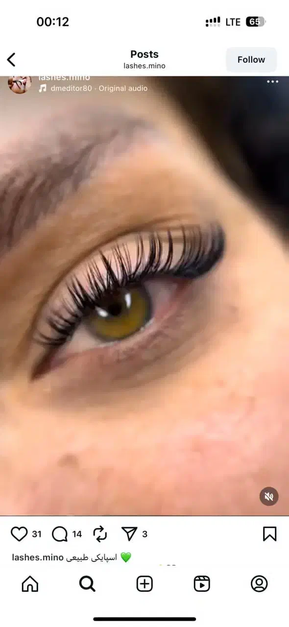 جشنواره خدمات اکستنشن و کاشت مژه و ابرو|خدمات آرایشگری و زیبایی|یاسوج, |دیوار