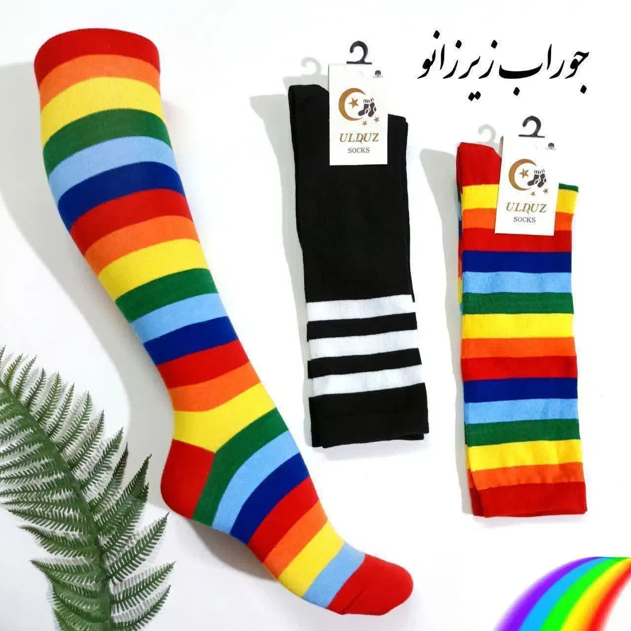 زیر زانو و بالا زانو ورزشی|تجهیزات ورزشی|یزد, |دیوار