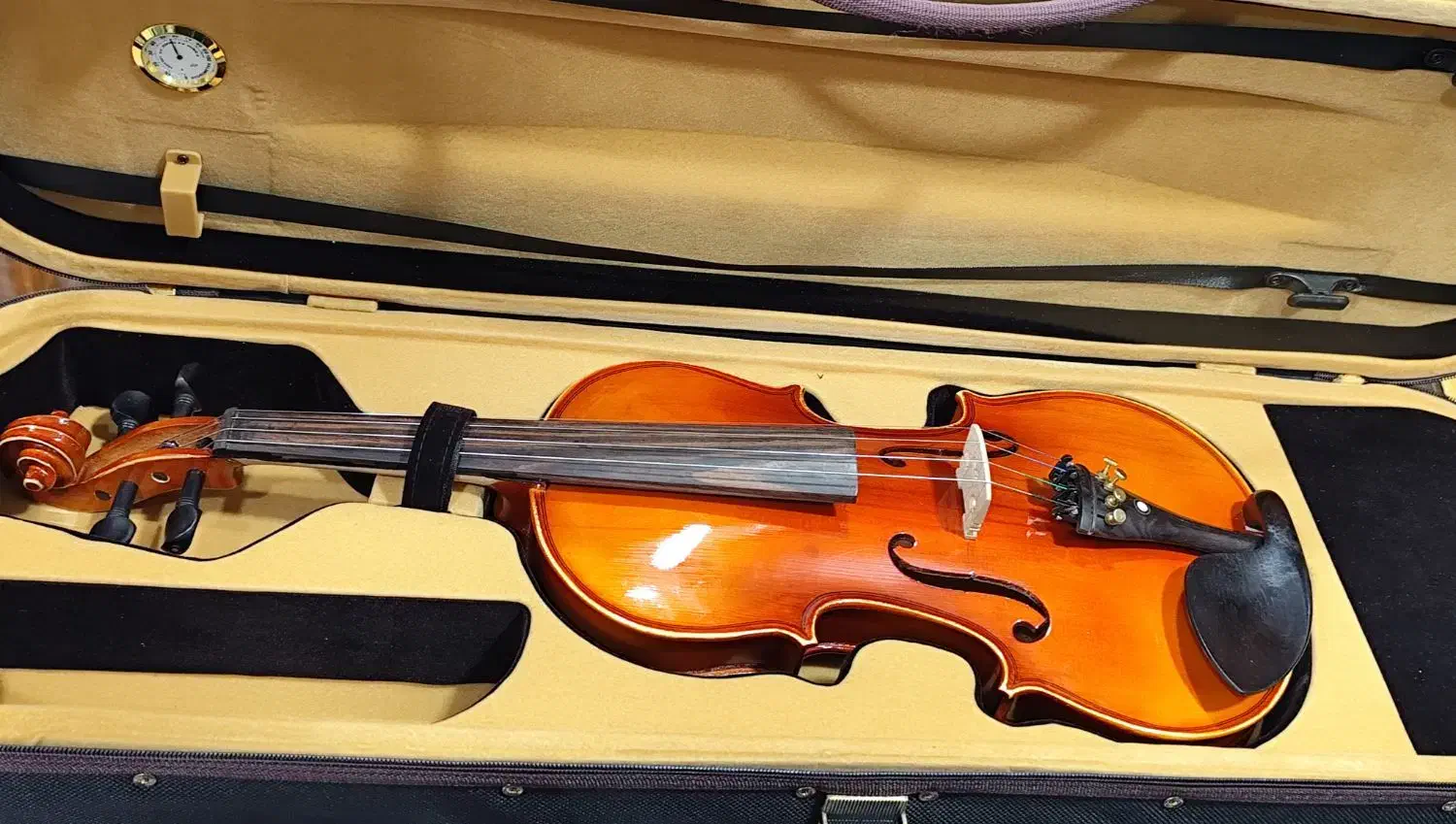 گالری موسیقی شیدا در خدمت هنرمندان عزیز|سازهای سنتی|فیروزآباد (فارس), |دیوار