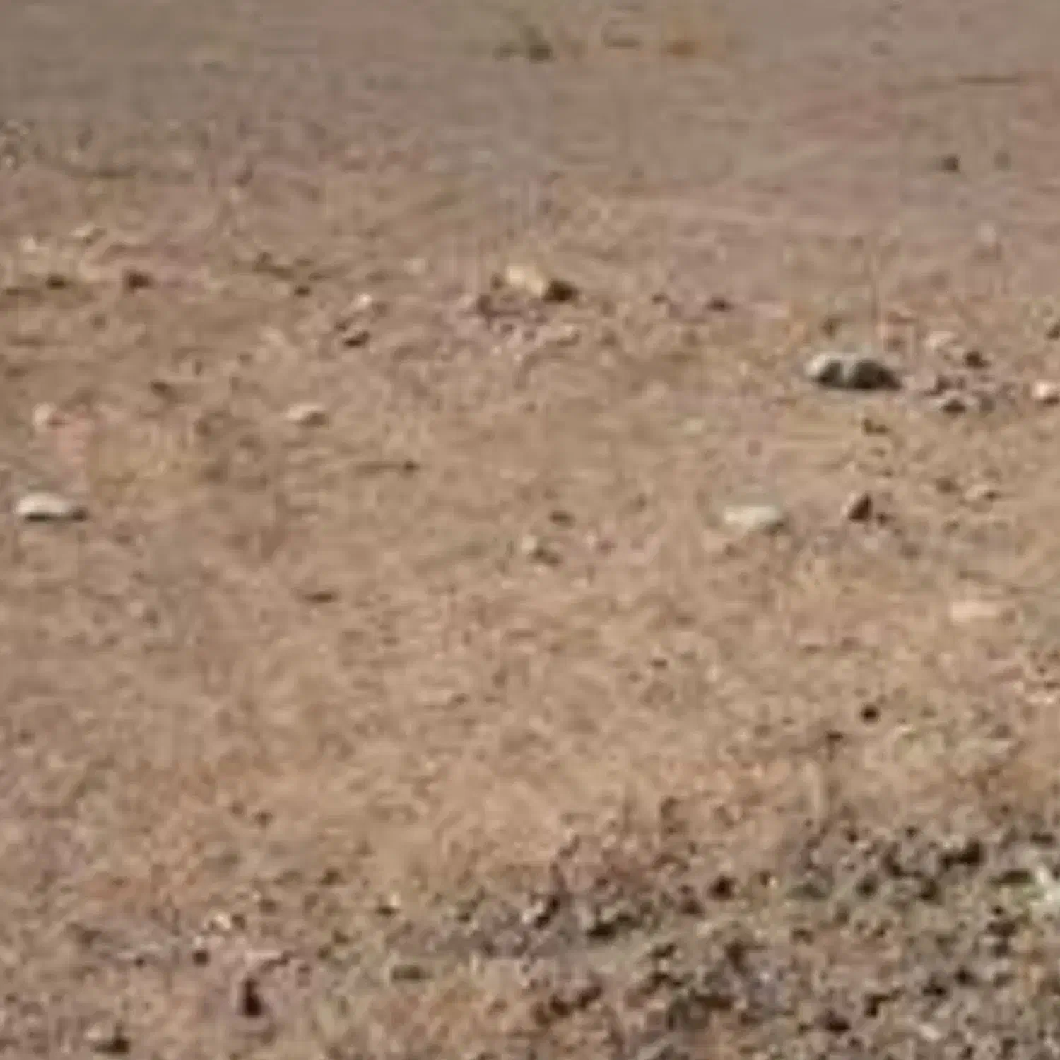 زمین فروشی|فروش زمین و ملک کلنگی|یزدان شهر, |دیوار