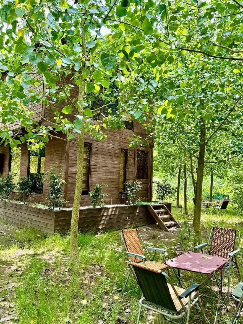 نگاهی نو در خرید ملک|فروش خانه و ویلا|اسلامشهر, شهرک احمدیه|دیوار