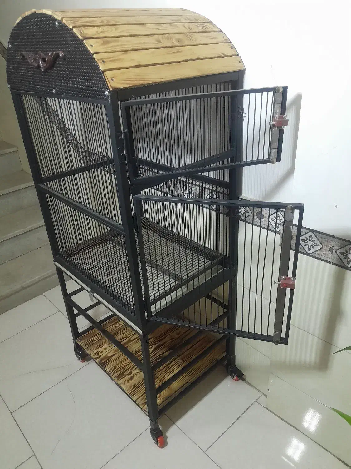 قفس چرخ دار پرنده نونو طوطی عروس هلندی کاسکو|لوازم جانبی حیوانات|مشکیندشت, |دیوار