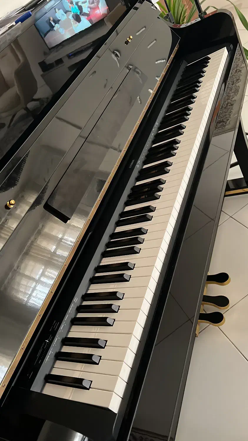 پیانو از مبتدی تا حرفه درهشتگرد جدید موسیقی خوشنام|پیانو، کیبورد، آکاردئون|هشتگرد, فاز ۲ مهستان|دیوار