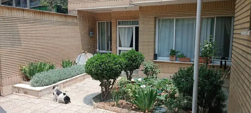 فرصت استثنایی مستغلات مناسب همه نوع مشاغل(دیباجی|اجارهٔ خانه و ویلا|تهران, اختیاریه|دیوار