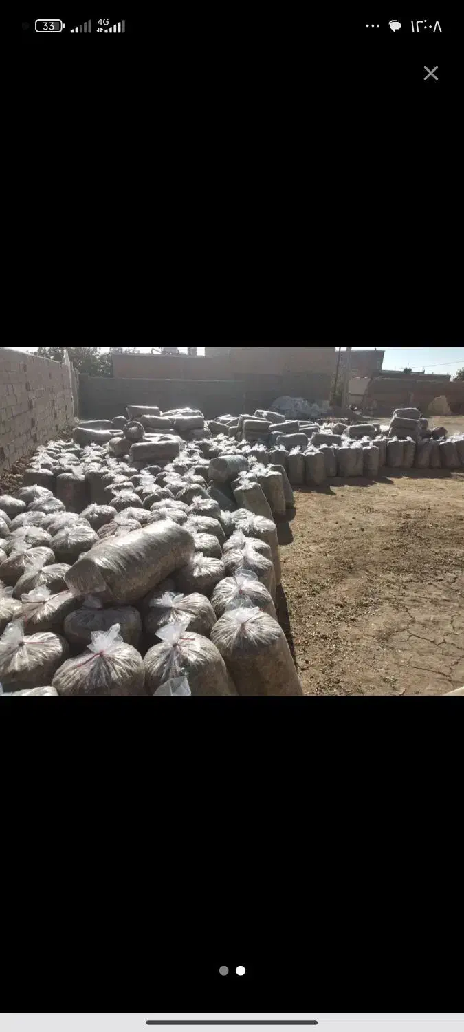 ذرت علوفه ای پردان بسته بندی شده|لوازم جانبی حیوانات|درگزین, |دیوار