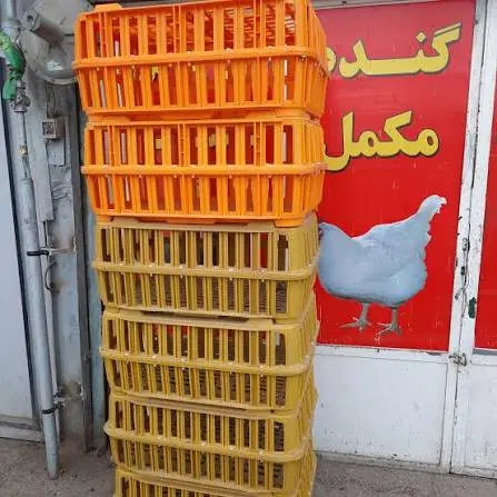 قفس|عمده‌فروشی|تایباد, |دیوار