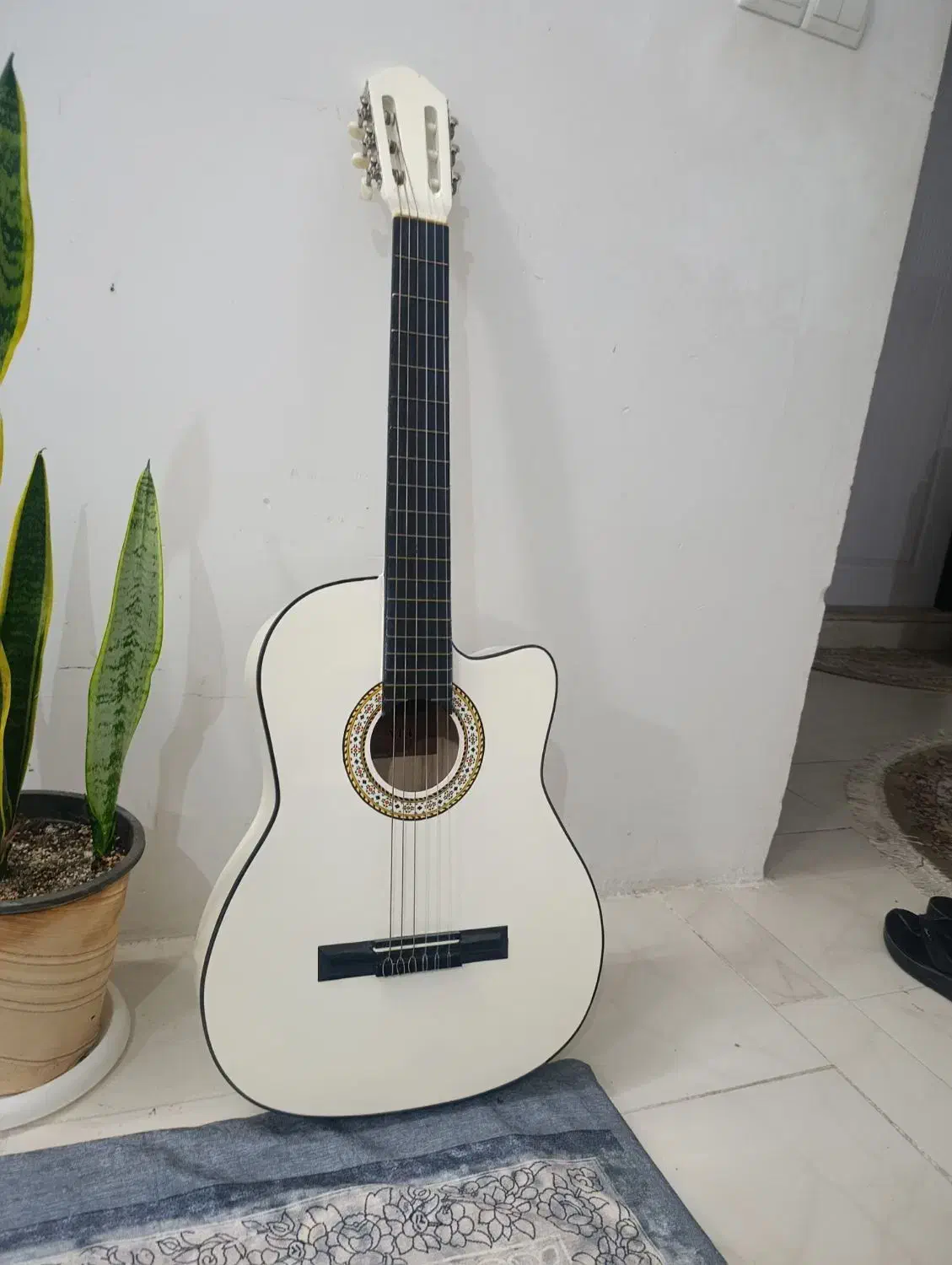 گیتار|گیتار، بیس، امپلیفایر|گلبهار, شهر جدید گلبهار|دیوار