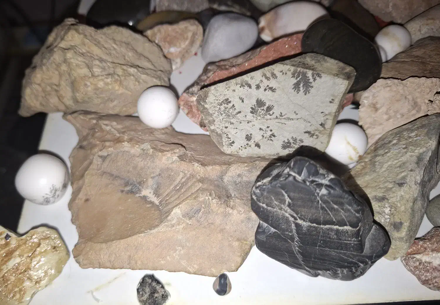 اهدای کلکسیون سنگ رایگان|بدلیجات|تهران, افسریه شمالی|دیوار