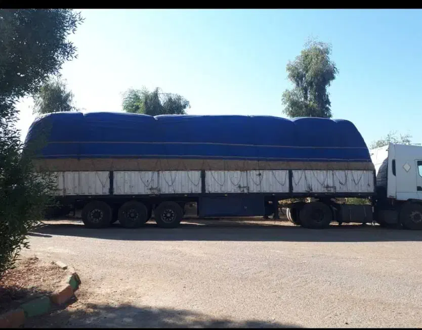 سفال، کاه نیشکر فله خوراک دام باگاس خوراکی|لوازم جانبی حیوانات|رباطکریم, رباطکریم|دیوار