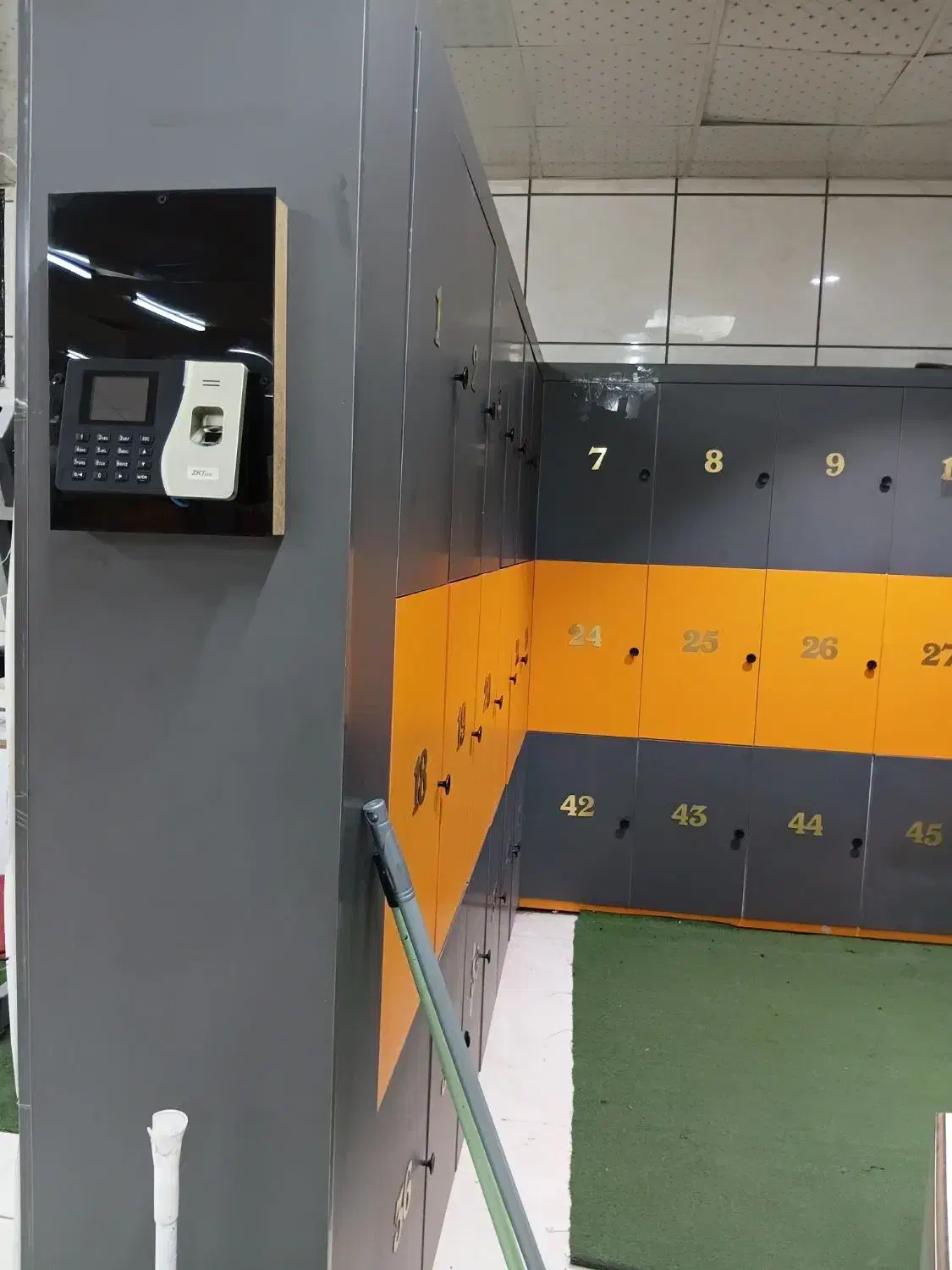 فروش لوازم باشگاه بدنسازی|تجهیزات ورزشی|تربتحیدریه, کاشانی|دیوار