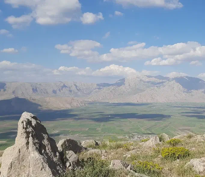 راهنمایی کار و شغل|فعالیت داوطلبانه تحقیقاتی|کرمانشاه, |دیوار