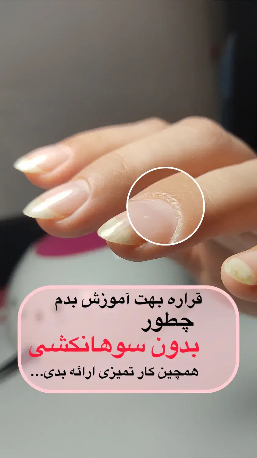 ثبت نام دوره جامع قالب|خدمات آموزشی|امیدیه, |دیوار