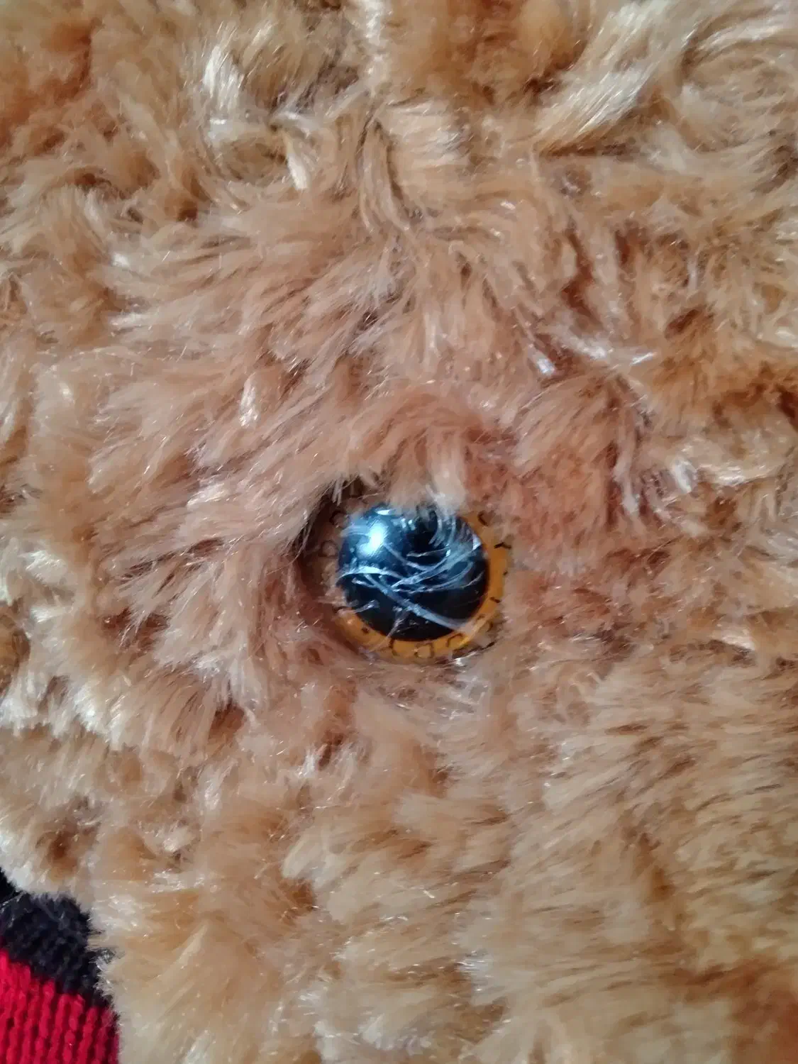 خرس کادویی|کلکسیون و سرگرمی|تهران, شهر زیبا|دیوار