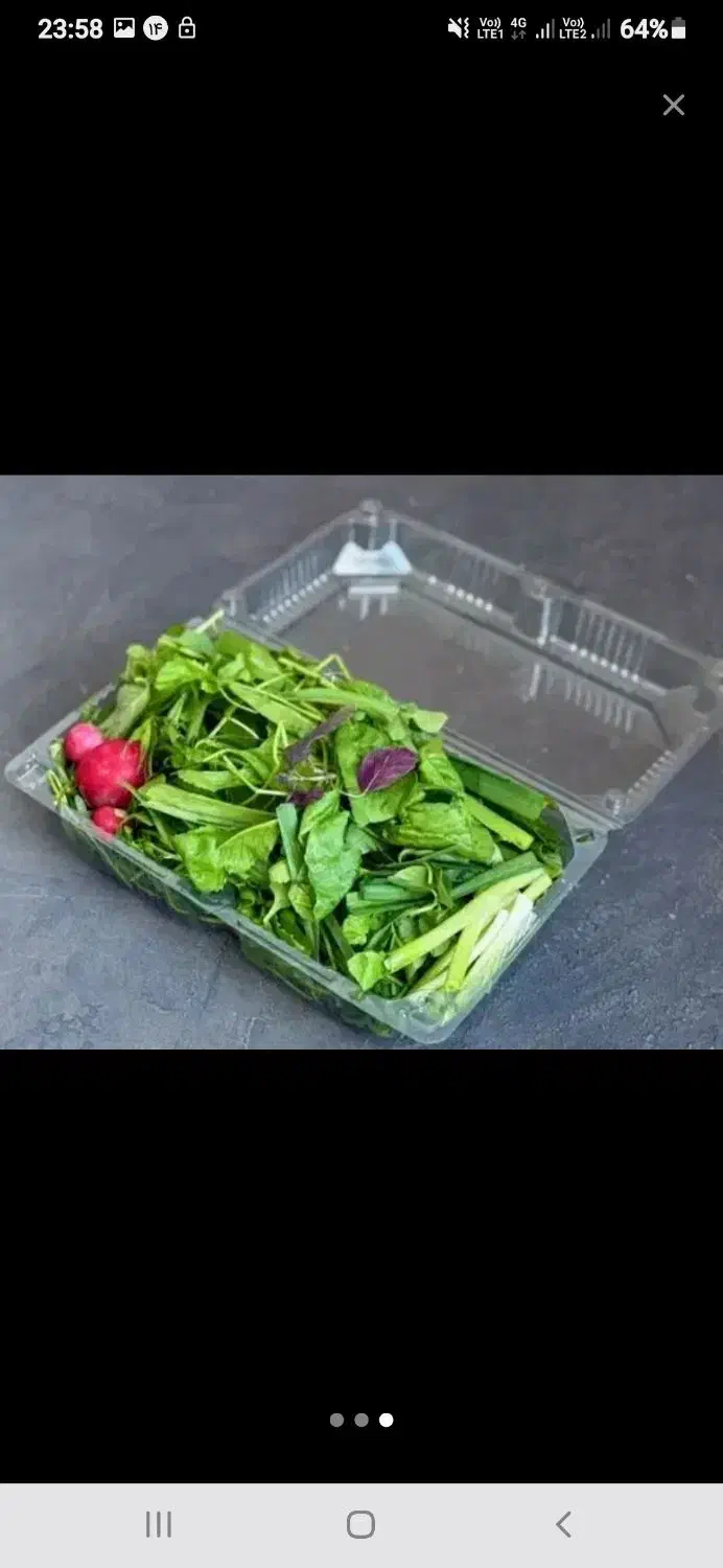 سبزی|خوردنی و آشامیدنی|مشهد, سمزقند|دیوار