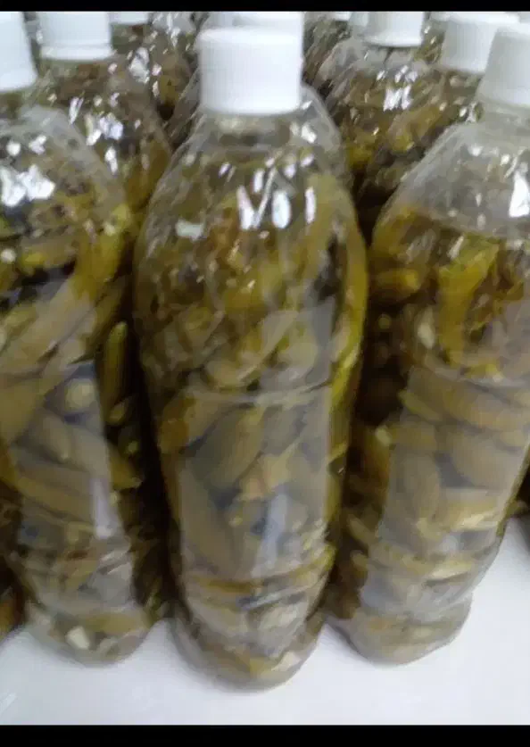 خیار شور تازه وابغوره  ب صورت کیلو وعمده|خوردنی و آشامیدنی|جوانرود, |دیوار