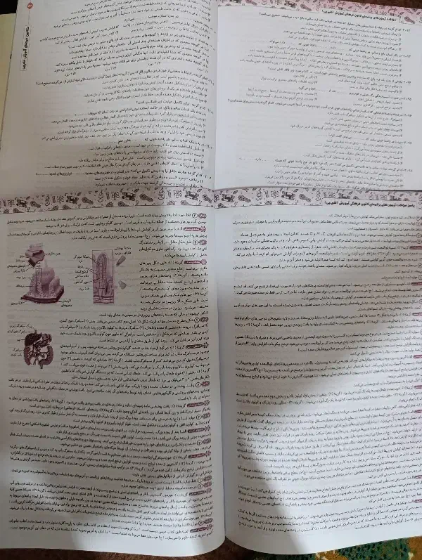 کتاب تست نشرالگو زیست دهم تجربی|کتاب و مجله آموزشی|رشت, سلیمانداراب|دیوار