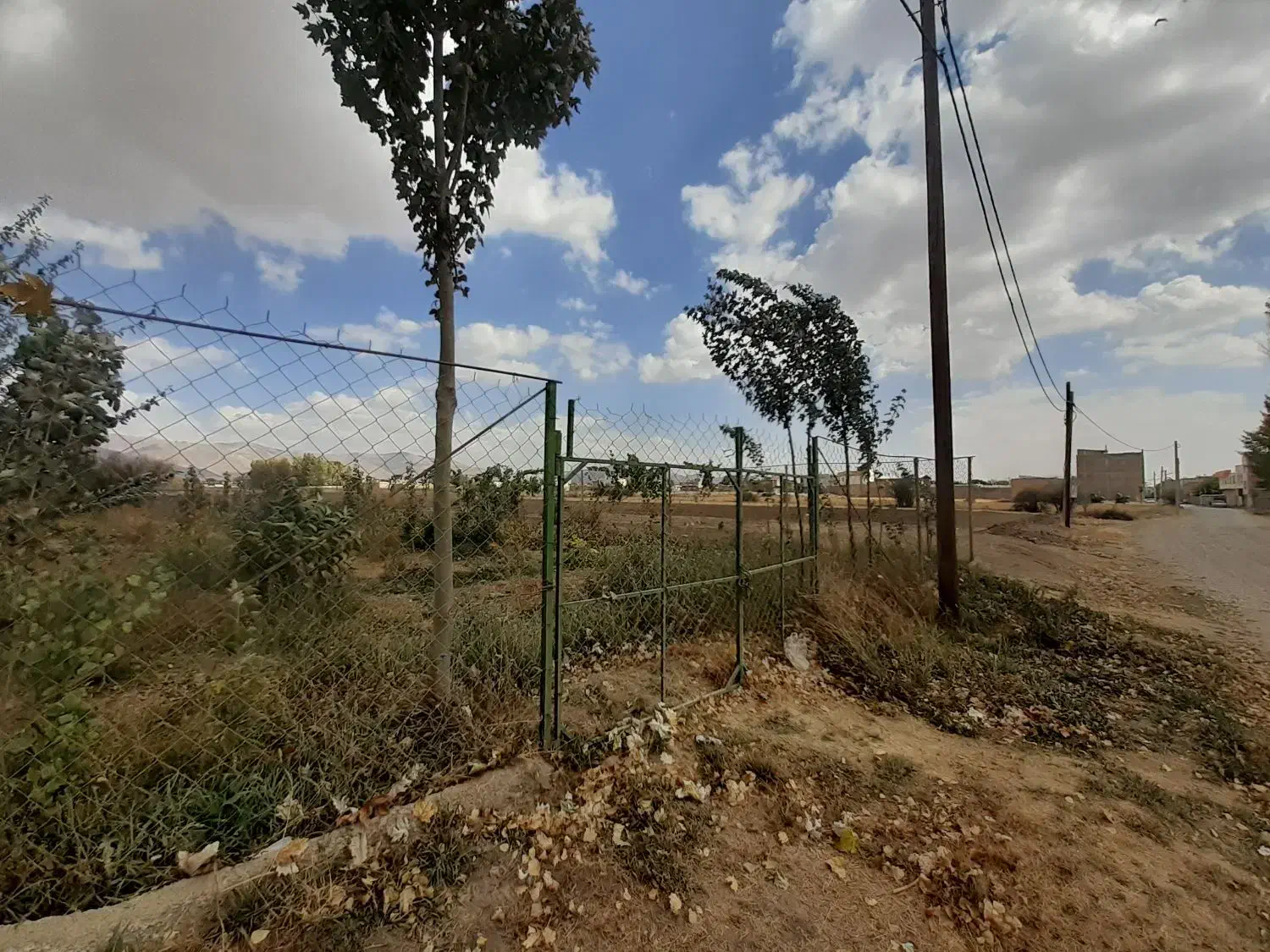 زمین ۱۰۰۰ متر سند دار.|فروش دفتر صنعتی، کشاورزی، تجاری|صائین قلعه, |دیوار