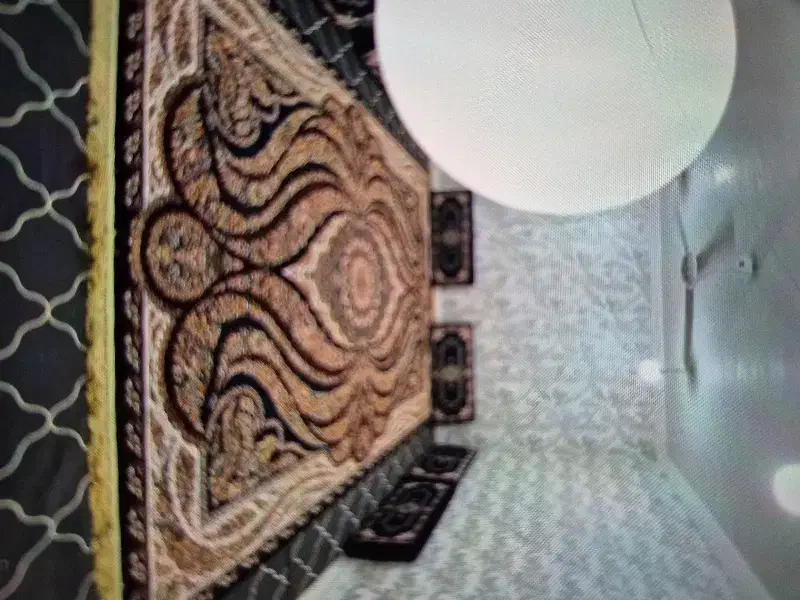 قالی داوزده متری|فرش|بندر ماهشهر, |دیوار