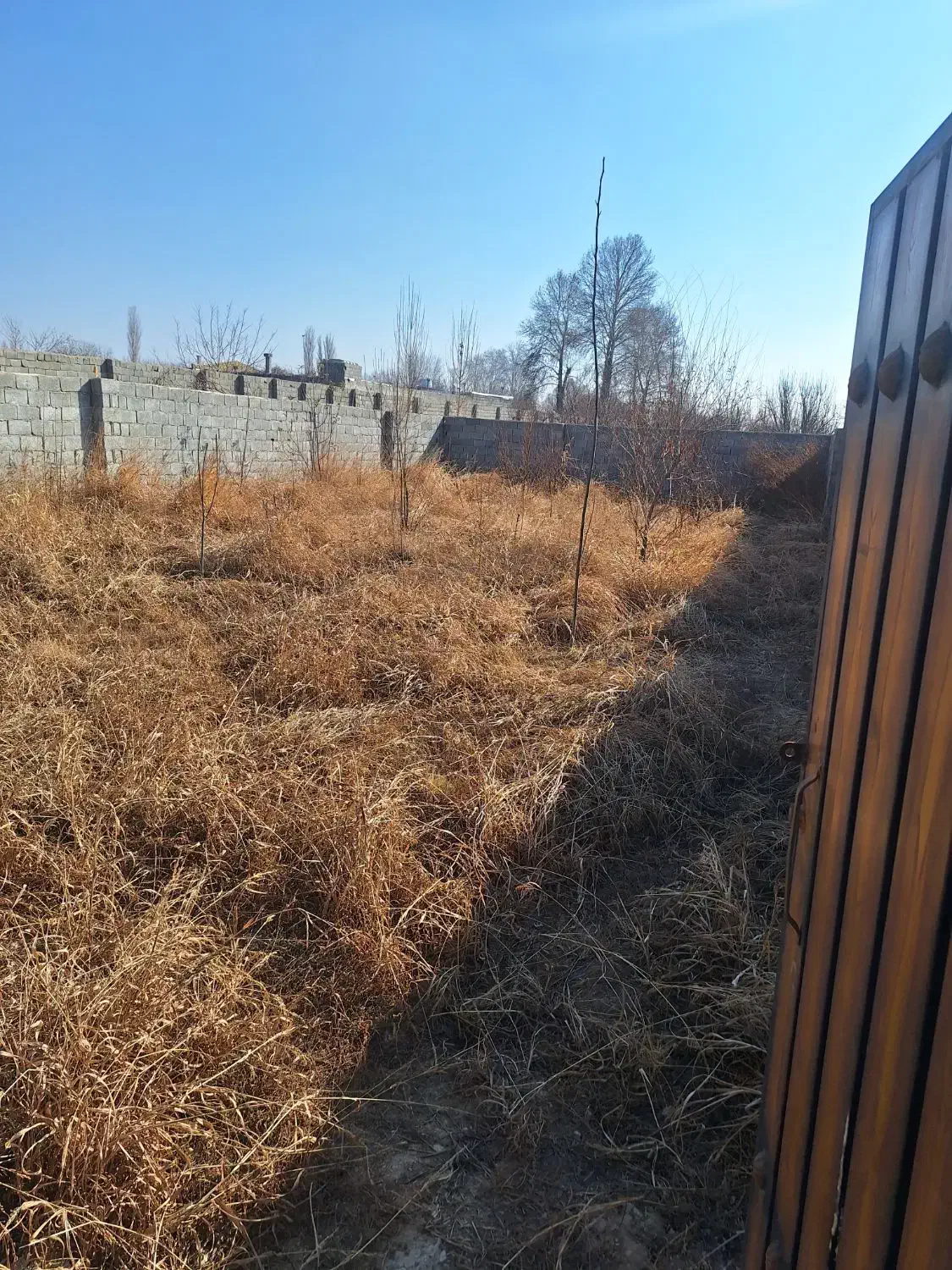 باغچه|فروش زمین و ملک کلنگی|هشتگرد, قاسم آباد بزرگ|دیوار